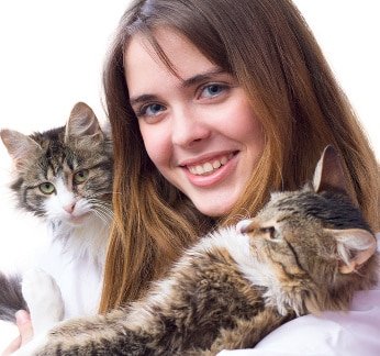 Katzenversicherung Fragen