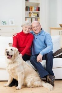 Hundehaftpflicht Senioren