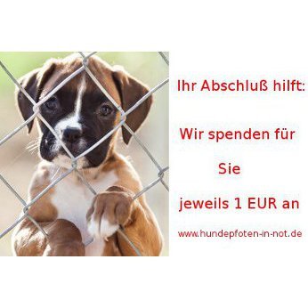 Hundeversicherung Spendenaktion