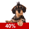 Mangelhafter Schutz mit 40%