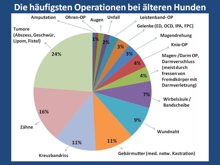 Agila Op Versicherung Hund Kastration