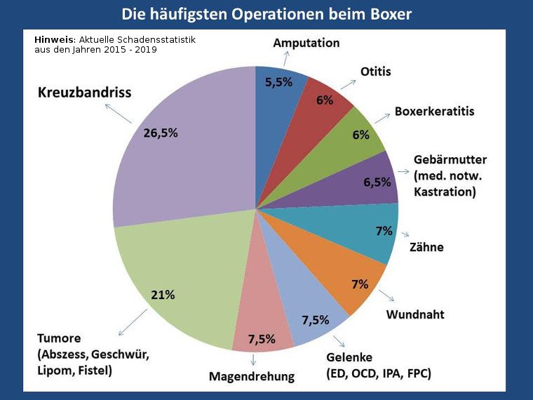 Agila Op Versicherung Wartezeit