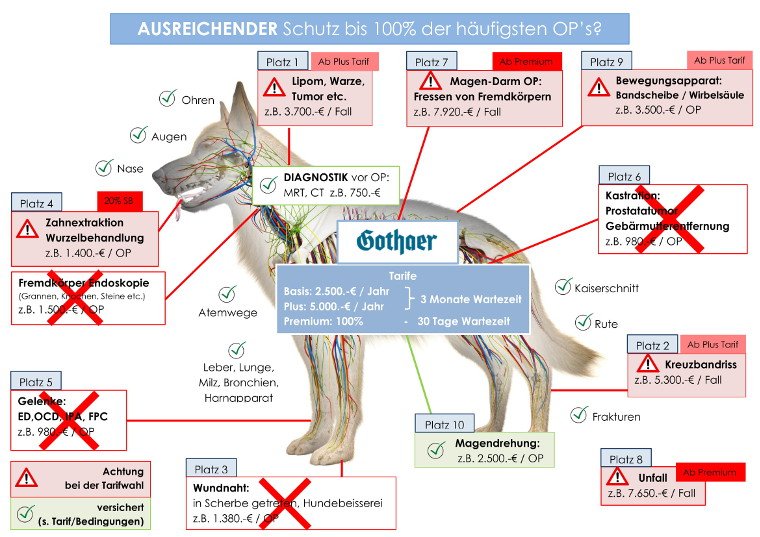 Gothaer Hunde OP Versicherung verbraucherforuminfo.de