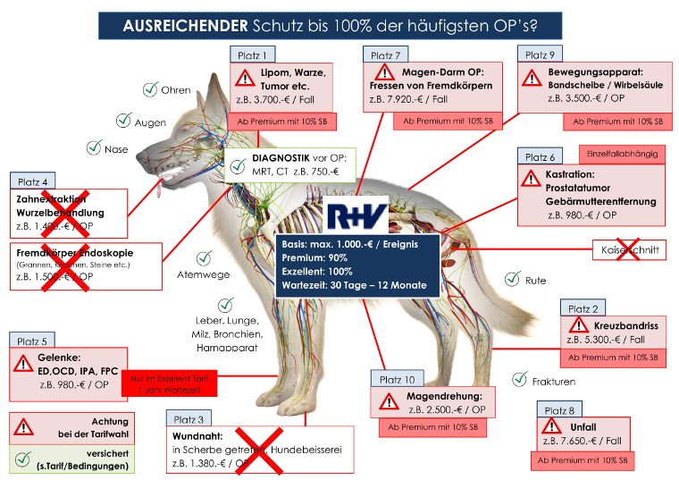 R und V Hunde OP Versicherung verbraucherforuminfo.de