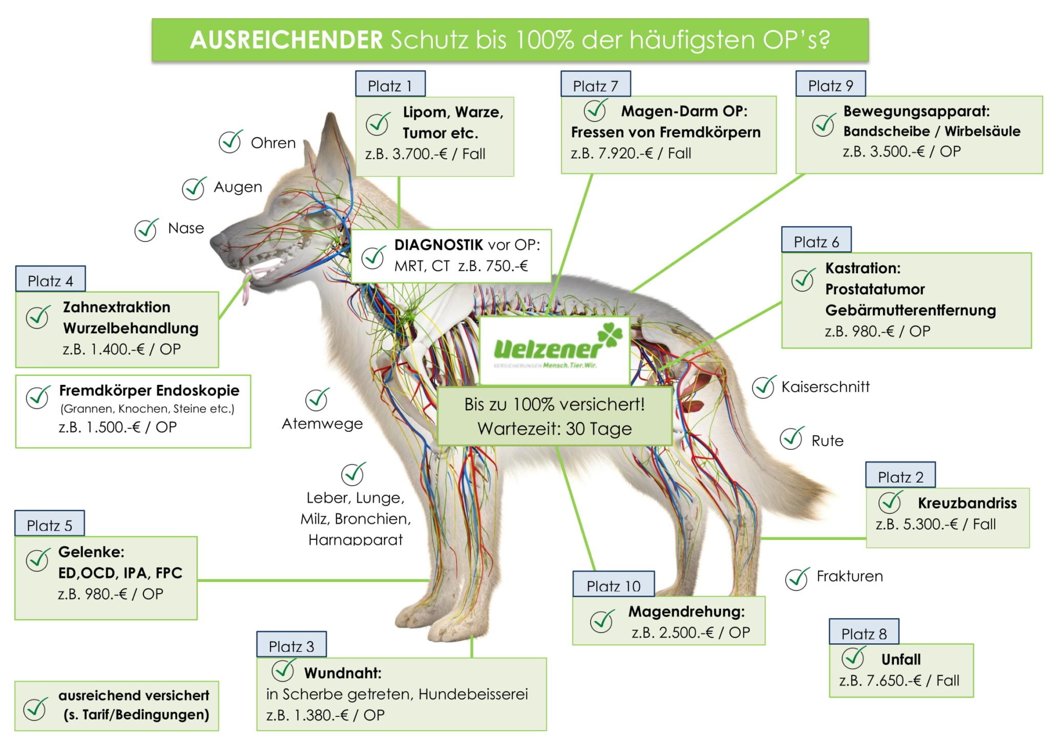 Uelzener Hunde OP Versicherung verbraucherforuminfo.de