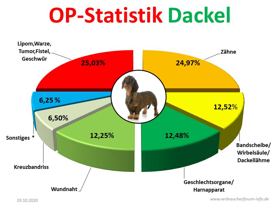 HundeOP Versicherung für Dackel incl. OPStatistik