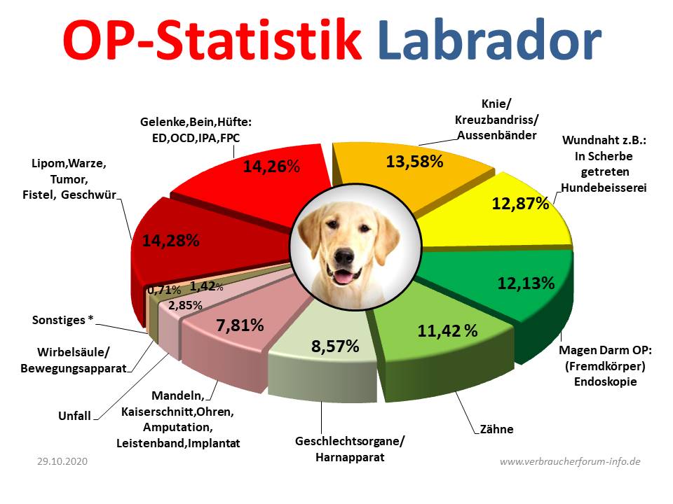 HundeOP Versicherung für Labrador incl. OPStatistik