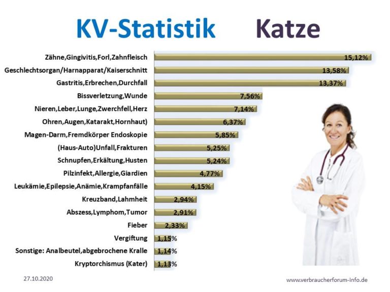 Katzenkrankenversicherung Test 2022 ⇨ Die Besten Tarife