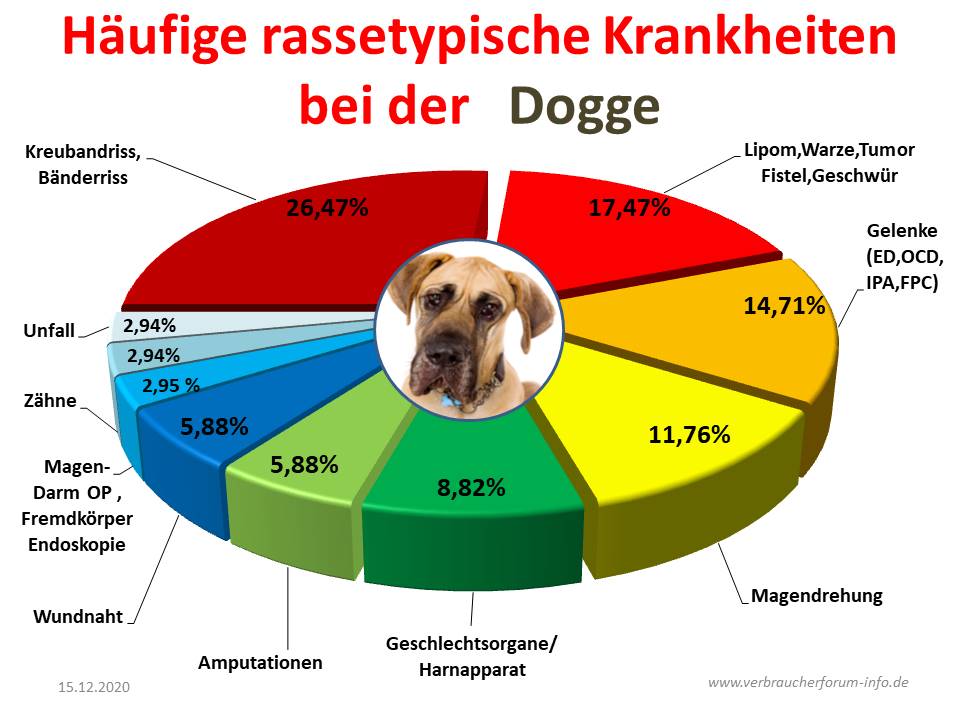 HundeOP Versicherung für Dogge incl. OPStatistik