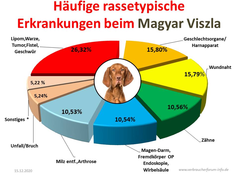 Rassetypische Krankheiten beim Magyar Viszla verbraucherforuminfo.de