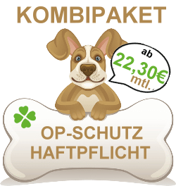 Uelzener Hunde sicher Plus Angebot
