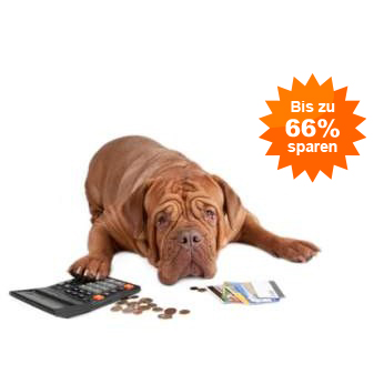 Hundekrankenversicherung Vergleich