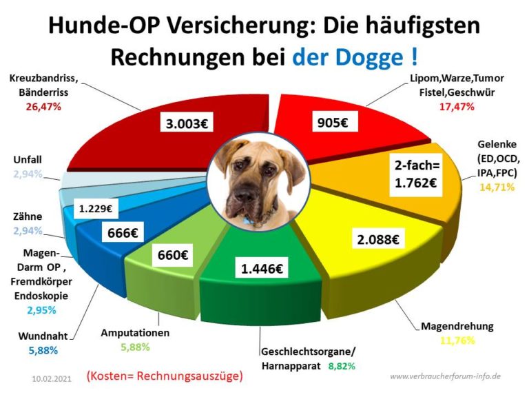 Hunde-OP Versicherung Für Dogge - Incl. OP-Statistik