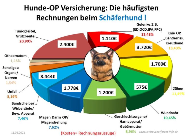 HundeOP Versicherung für Schäferhund incl. OPStatistik