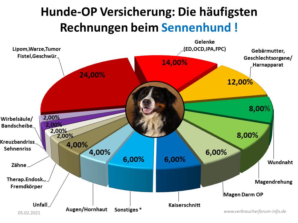 HundeOP Versicherung für Sennenhunde incl. OPStatistik