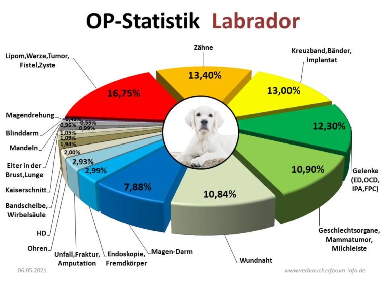 Hunde-OP Versicherung Für Labrador - Incl. OP-Statistik