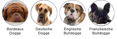 hunde op versicherung fur bulldogge incl op statistik