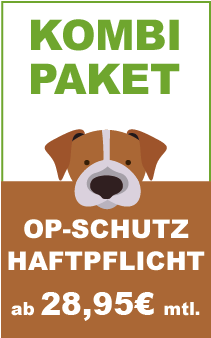 hunde op versicherung fur bulldogge incl op statistik