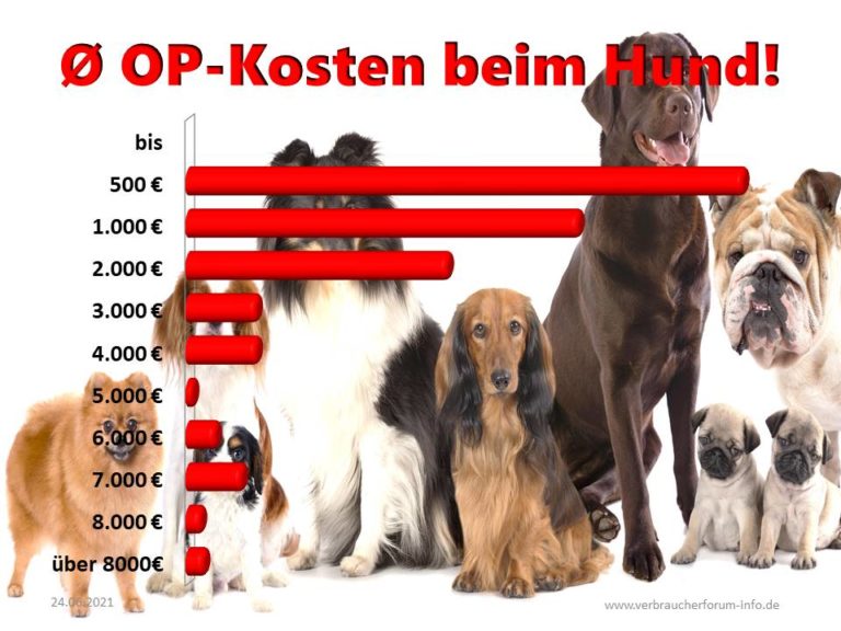 Statistik über die durchschnittlichen OPKosten beim Hund