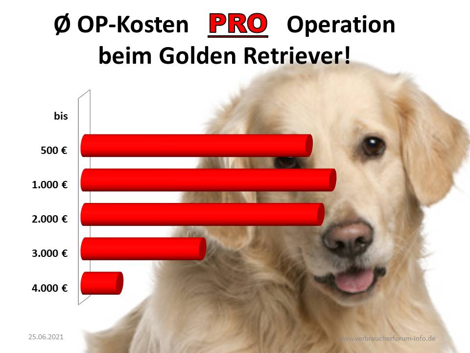 HundeOP Versicherung für Golden Retriever incl. OP Statistik