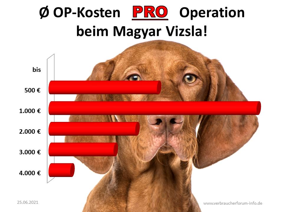 Durchschnittliche OP-Kosten beim Magyar Vizsla