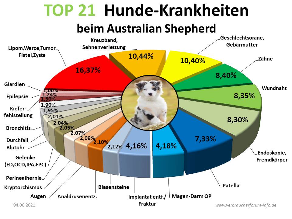 Statistik Hundekrankheiten Australian Shepherd