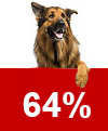 Mangelhafter Schutz