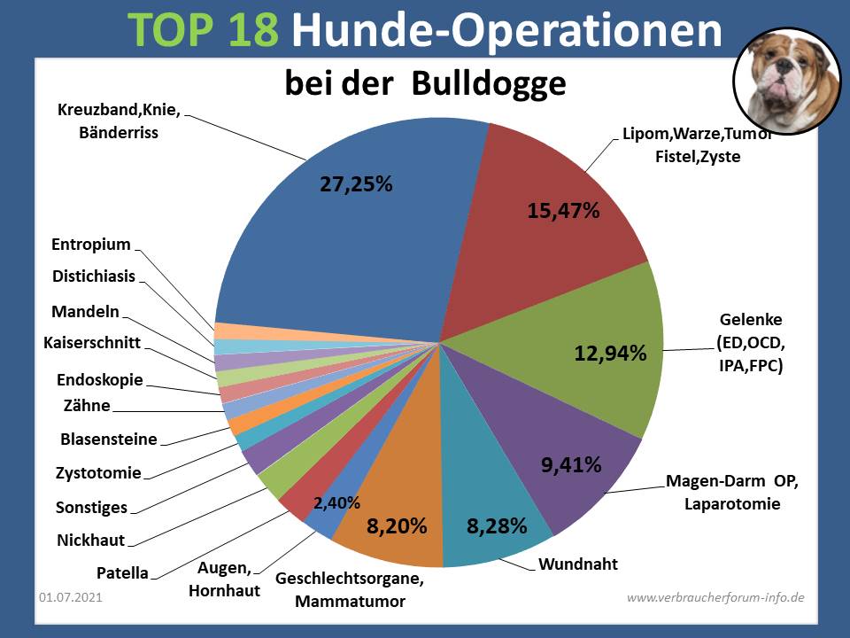 OP Statistik Bei Der Bulldogge - Verbraucherforum-info.de