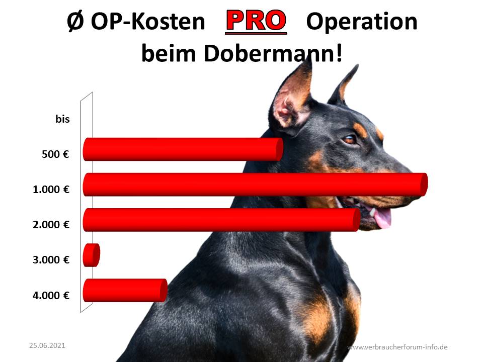 Hunde-OP Versicherung Für Dobermann - Inkl. OP Statistik