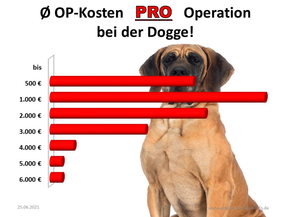 Durchschnittliche OP-Rechnung bei der Dogge