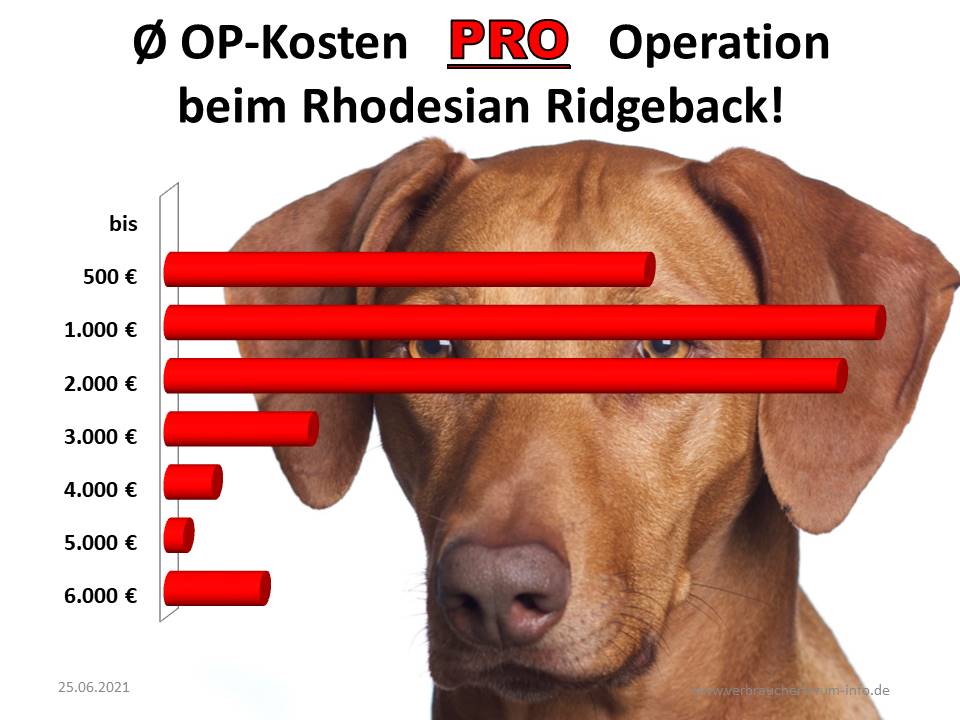 Durchschnittliche OP-Rechnung beim Rhodesian Ridgeback