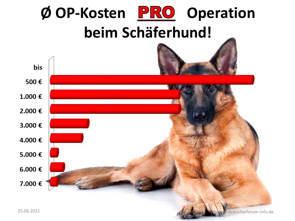 Statistik über mögliche OP-Kosten beim Schäferhund