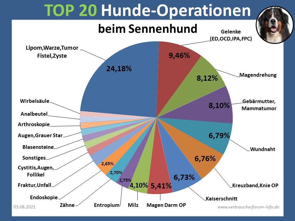 OP-Statistik vom Sennenhund