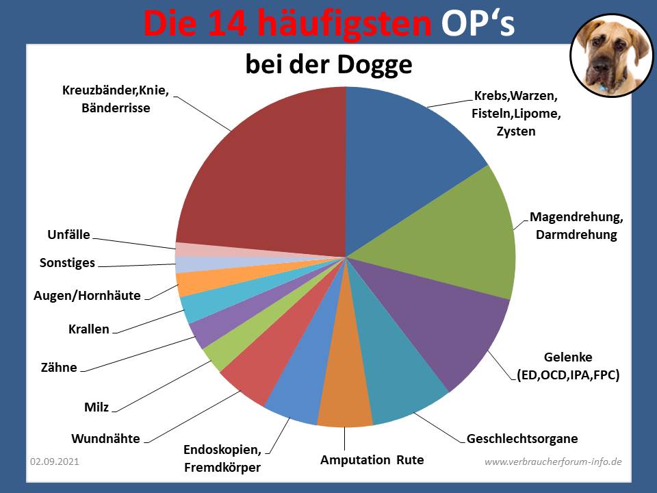 Leistungsfälle Dogge