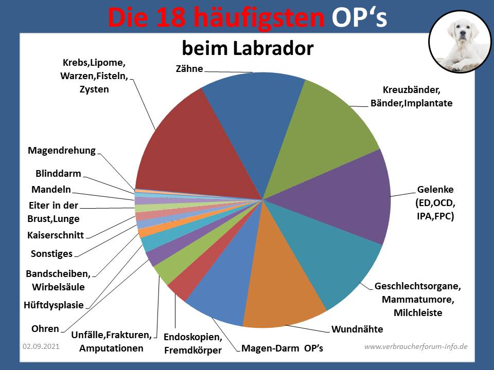 OP-Statistik vom Labrador