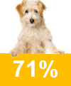Mischling 71%