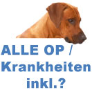 Im Bedingungsvergleich wurde geprüft, ob der jeweilige Tarif nicht nur Standard OP´s versichert, sondern auch andere wichtige OP´s, wie angeborene Krankheiten oder Fehlentwicklungen übernimmt 100% Schutz