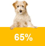 Tierarzt 65%