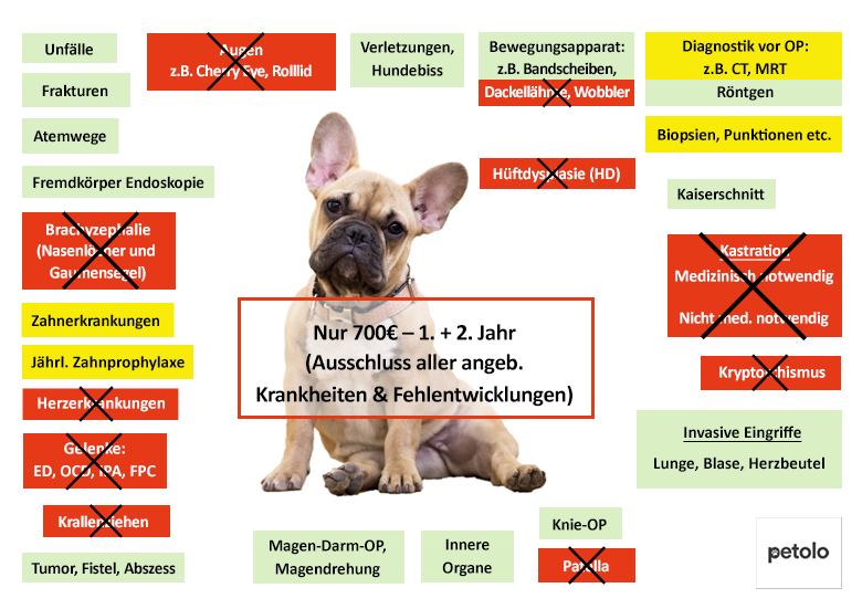 Hunde-OP Versicherung Für Französische Bulldogge - Mit OP-Statistik