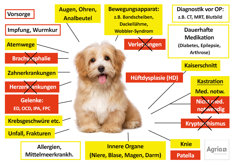 Agria Hundekrankenversicherung Leistungen im Überblick