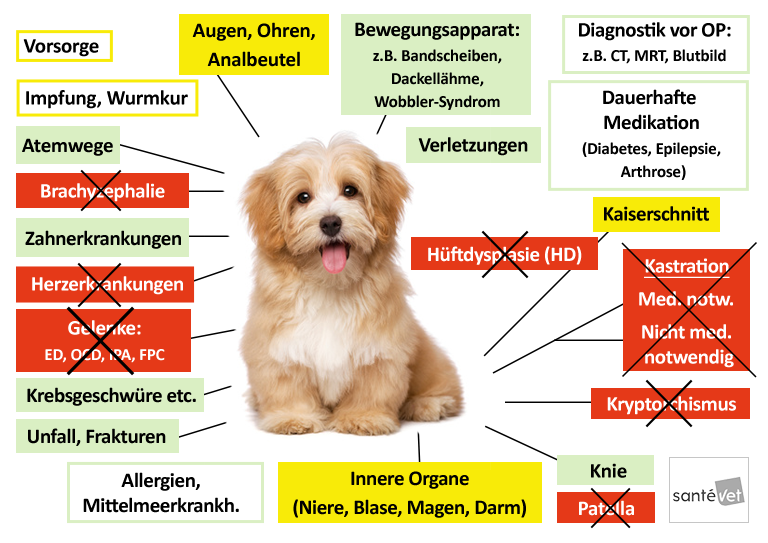 SantéVet Hundekrankenversicherung Leistungen im Überblick