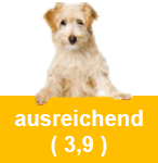 Bewertung Ausreichend
