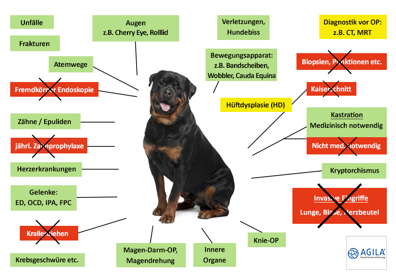 Agila Hunde-OP Versicherung Leistungen im Überblick