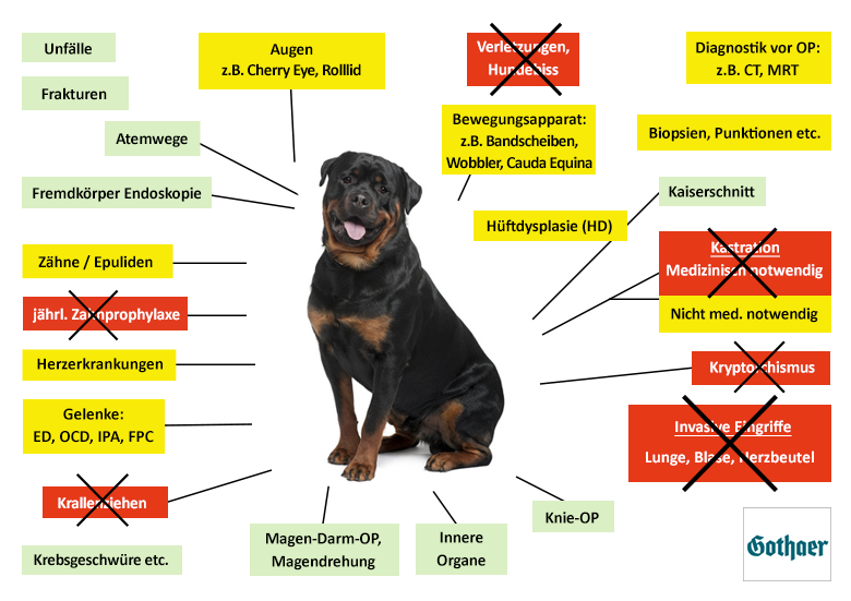 Gothaer Hunde-OP Versicherung Leistungen im Überblick