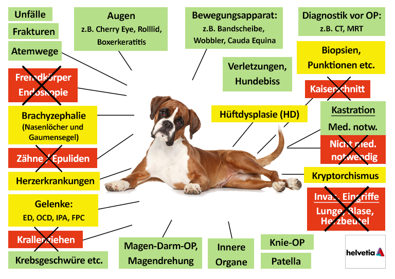 Helvetia Hunde-OP Versicherung Leistungen im Überblick
