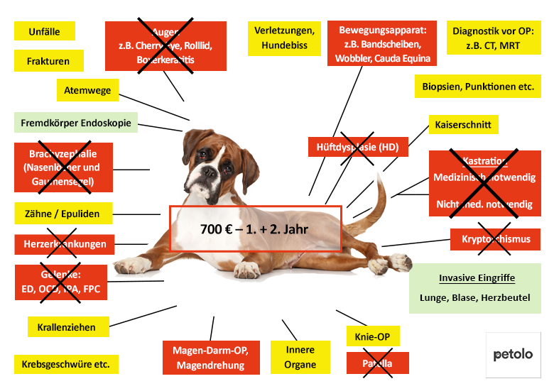 Petolo Hundeversicherung Leistungen im Überblick