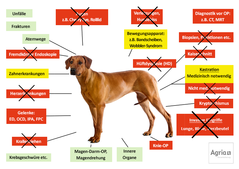Agria Hunde-OP Versicherung Leistungen im Überblick