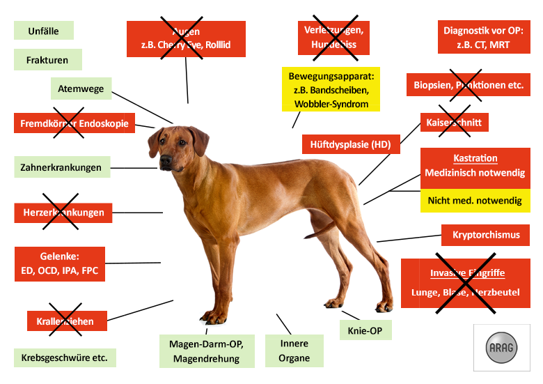 ARAG Hunde-OP Versicherung Leistungen im Überblick