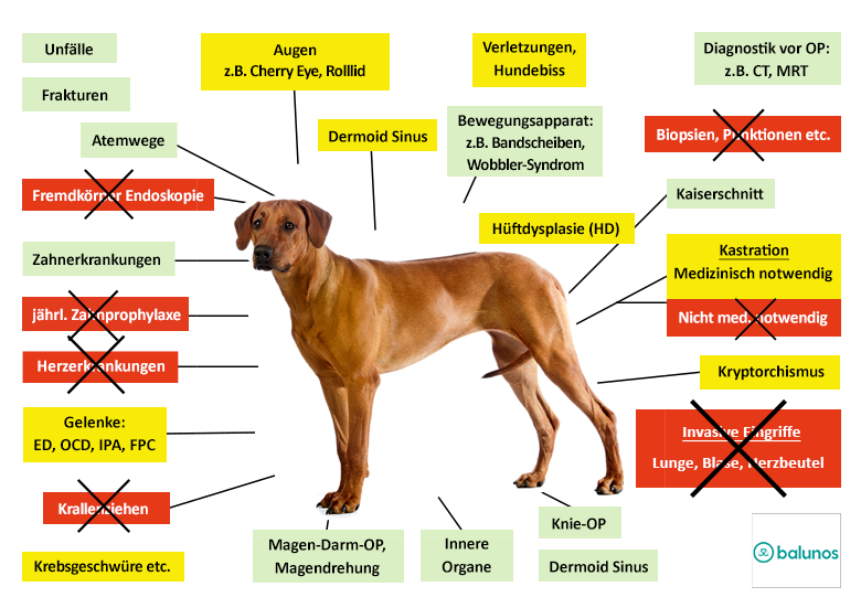 Balunos Hunde-OP Versicherung Leistungen im Überblick