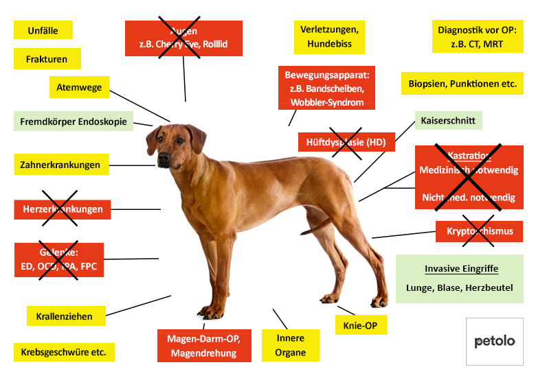 Petolo Hundeversicherung Leistungen im Überblick